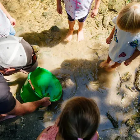 Appartement Poterne- Raffiné Avec Jardin Aubeterre-sur-Dronne