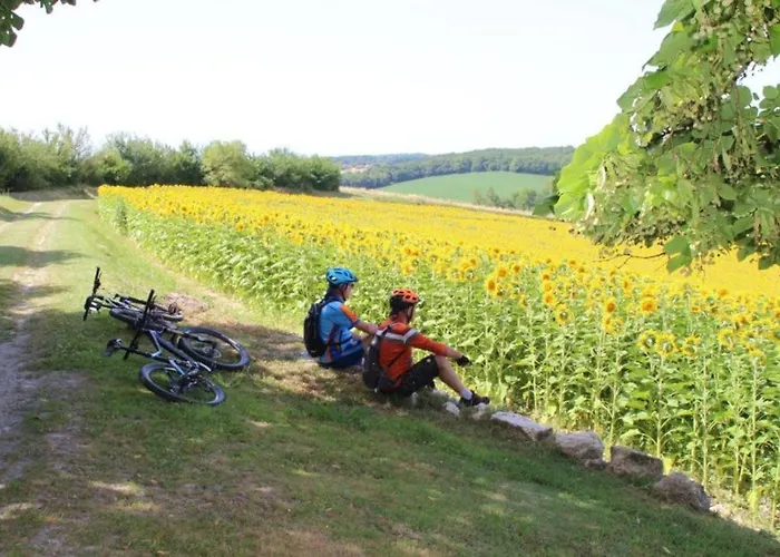 Poterne- Raffiné Avec Jardin Apartamento